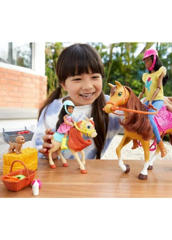Ігровий набір Barbie Hugs N Horses Playset, Brunette (GLL82) Mattel (255665676)