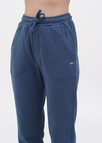 Синие спортивные демисезонные зауженные брюки +351