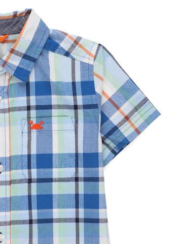 Цветная кэжуал рубашка в клетку Gymboree