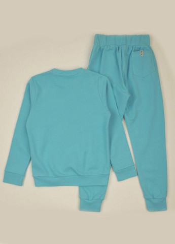 Светло-бирюзовый демисезонный костюм (свитшот, брюки) брючный ArDoMi