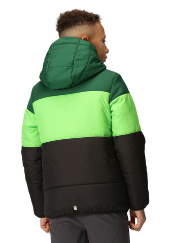 Зеленая зимняя куртка Regatta
