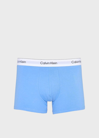 Труси (3 шт.) Calvin Klein (366431757)