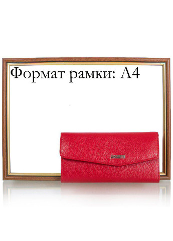 Женский кожаный кошелек 17,8х9,2х1,7 см Desisan (195538457)