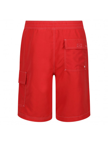 Шорти Regatta Hotham BdShort IV (299927158)