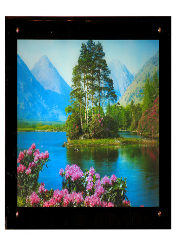 Картина з підсвічуванням SW-506 Brille (221307203)