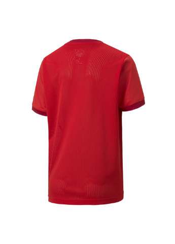 Красная демисезонная футболка Puma