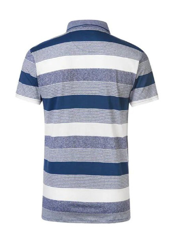 Серо-синяя футболка-поло для мужчин Pierre Cardin в полоску