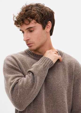 Темно-бежевый зимний джемпер джемпер Promin