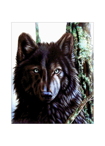 Набор для вышивания бисером Канадский волк 46х56 см Александра Токарева (188848051)