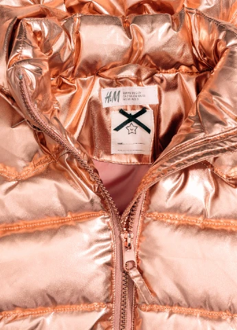 Золота демісезонна куртка H&M