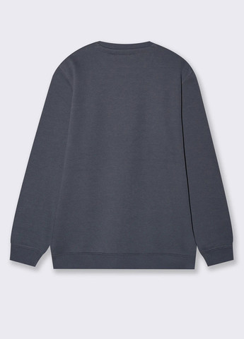 Серый свитшот Piazza Italia однотонный без декора (363048331)