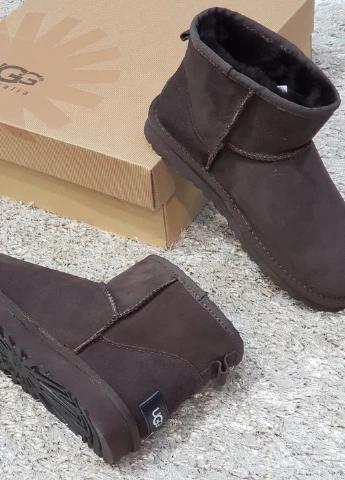 Жіночі угі UGG Угги (254582790)
