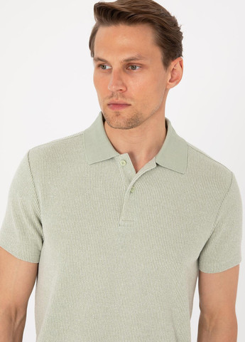 Поло Pierre Cardin (340648118)