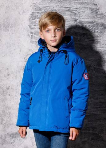 Синя демісезонна пухова демісезонна куртка для хлопчика 7349 140 см синій 52861 DobraMAMA