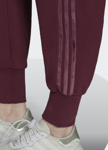 Штани з манжетами та оксамитовими трьома смужками adidas (252341796)
