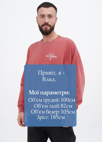 Темно-рожевий світшот Yesterdays напис без декору (307174816)