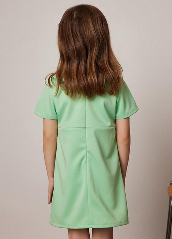 Светло-зелёное платье SHEIN (346395884)