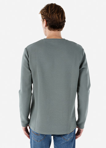 Лонглів Colin's однотонний сірий кежуали бавовна, трикотаж