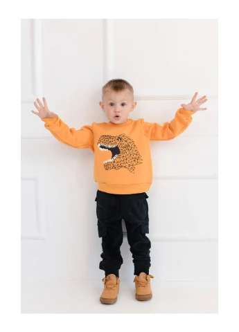 Color Dreams світшоти 10425/3/1 98 см комбінований однотонний комбінований кежуал трикотаж