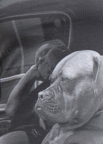 Біла футболка з принтом Dog Ko Samui - (250382456)