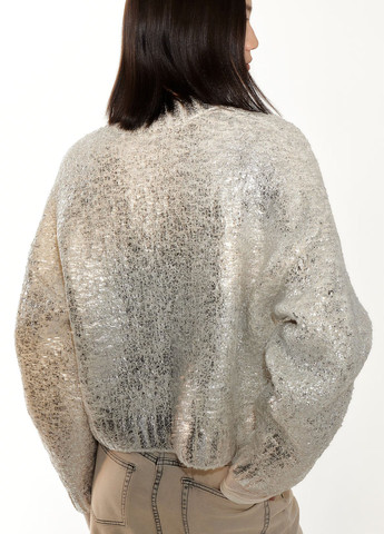 Сріблястий демісезонний джемпер джемпер H&M