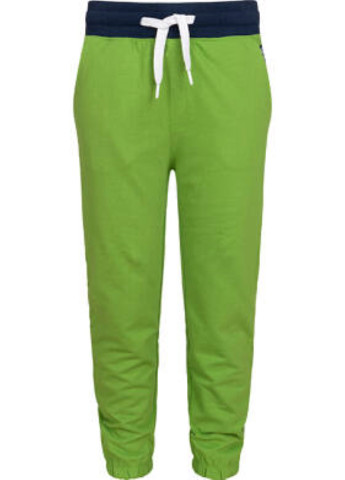Зеленые спортивные демисезонные брюки зауженные Endo