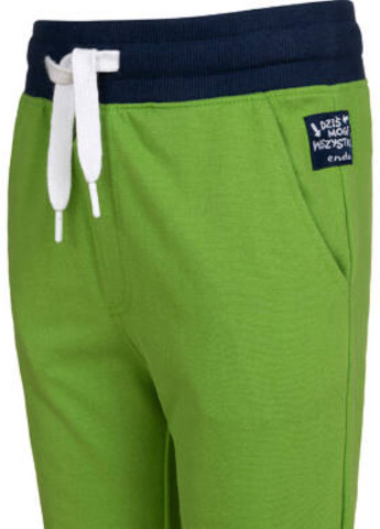 Зеленые спортивные демисезонные брюки зауженные Endo