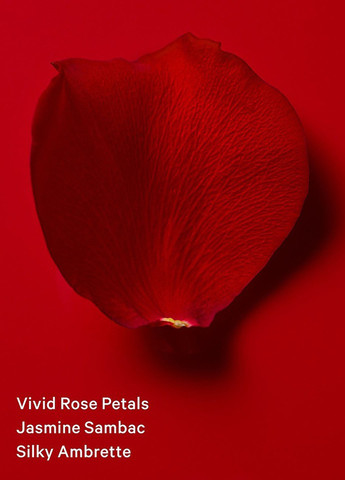 Міст Very Sexy Scarlet, 75 мл Victoria's Secret (366808717)