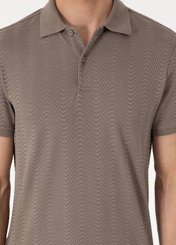 Поло Pierre Cardin (346474476)