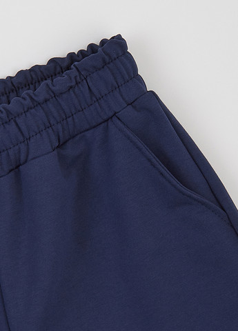 Костюм (толстовка, штани) Flamingo (359368621)