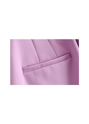 Фиолетовые демисезонные брюки Berni Fashion