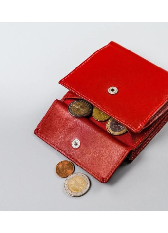 Гаманець жіночий шкіряний RD-16-GCL 4U Cavaldi (254314471)