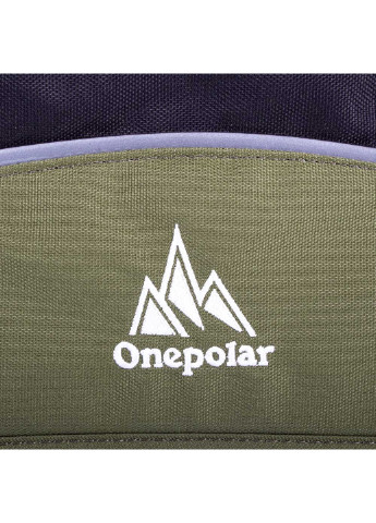 Чоловіча сумка спортивна 38х30х9,5 см Onepolar (253032269)