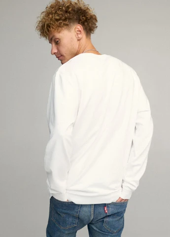 Білий світшот чоловічий oversize /no flis/ YAPPI малюнок (251791438)