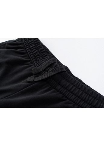Черные спортивные демисезонные джоггеры брюки Iguana