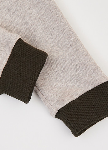 Комбинированный демисезонный костюм (свитшот, брюки) брючный ArDoMi