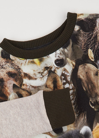 Комбинированный демисезонный костюм (свитшот, брюки) брючный ArDoMi