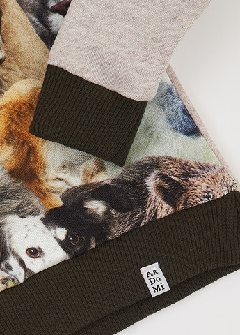 Комбинированный демисезонный костюм (свитшот, брюки) брючный ArDoMi