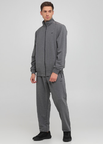 Серый демисезонный костюм (кофта, брюки) брючный DMR-X
