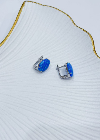 Сережки Silver Flame (307258617)
