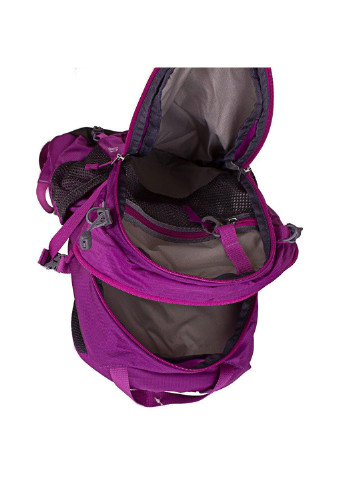 Женский спортивный рюкзак 23х37х17 см Onepolar (253032285)