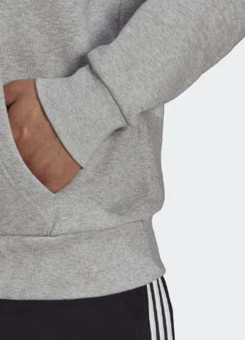 Худі Sportswear Future Icons Logo Graphic adidas (252376364)