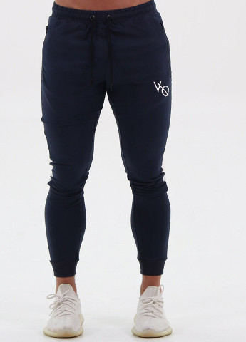 Спортивні штани VQH (250538948)