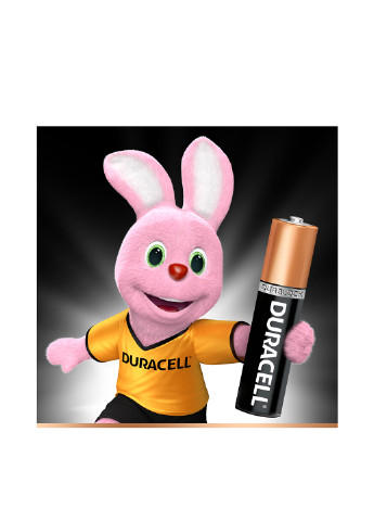 Батарейки алкалінові Basic AAA 1.5V LR03 (4 шт.) Duracell (12100804)