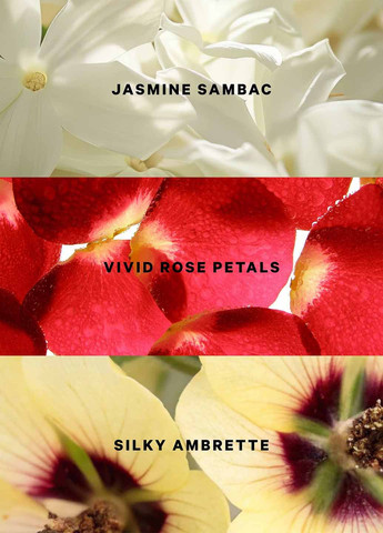 Парфумована вода Victoria's Secret (367098367)