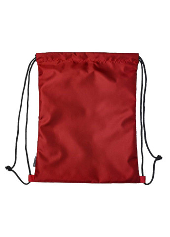 Рюкзак-мешок для сменной обуви, одежды VS Thermal Eco Bag (251108961)