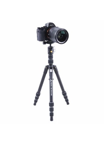Штатив Vesta TB 204ABS (Vesta TB 204ABS) Vanguard (254257074)