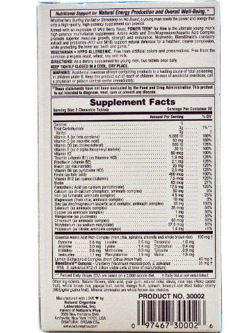Мультивітаміни для Хлопців, Смак Лісових ягід, Power Teen,, 60 жувальних таблеток Natures Plus (225714412)