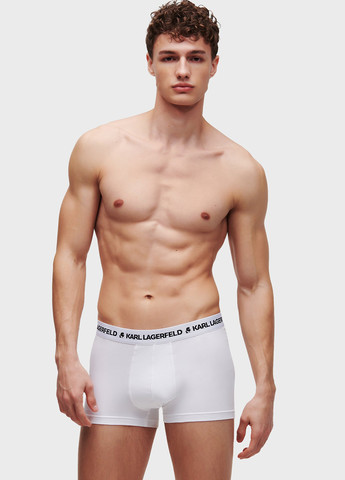 Труси (3 шт.) Karl Lagerfeld (346698327)