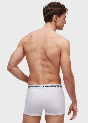 Труси (3 шт.) Karl Lagerfeld (346698327)